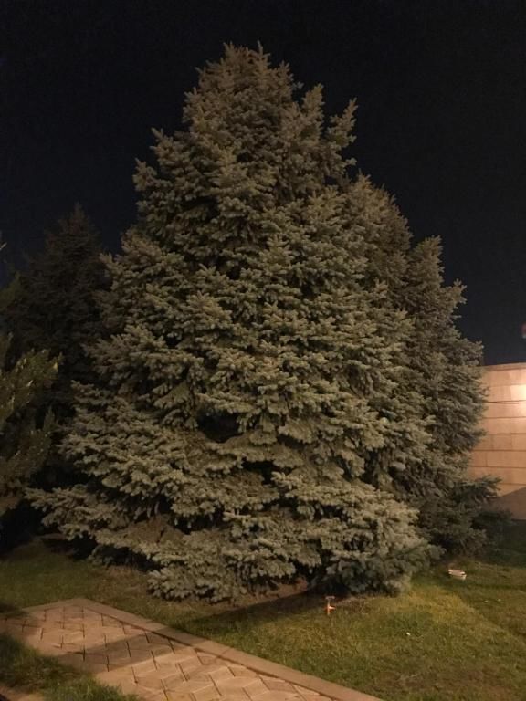 Виллы A Royal Luxury Villa With The Best View in Yerevan Ереван-70