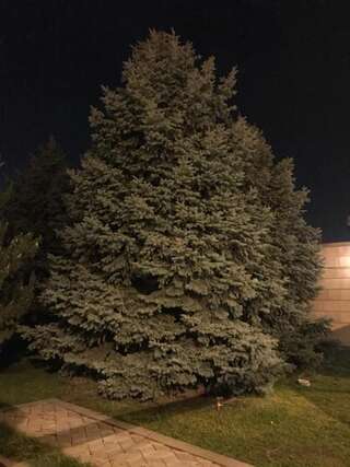 Виллы A Royal Luxury Villa With The Best View in Yerevan Ереван Вилла-67