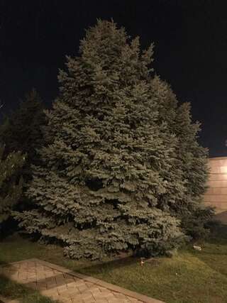 Виллы A Royal Luxury Villa With The Best View in Yerevan Ереван Вилла-9
